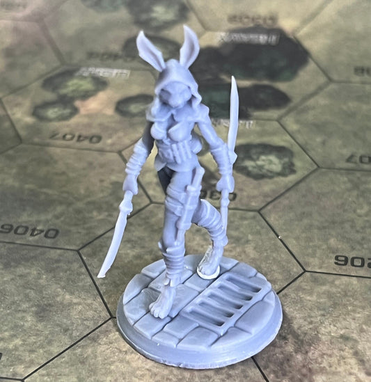 Galaad Miniatures “Sofia” the female Hareongon rogue